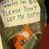 11102 - Funny Tip Jars
